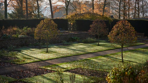 The Rose Garden in December at Castle Drogo, Devon